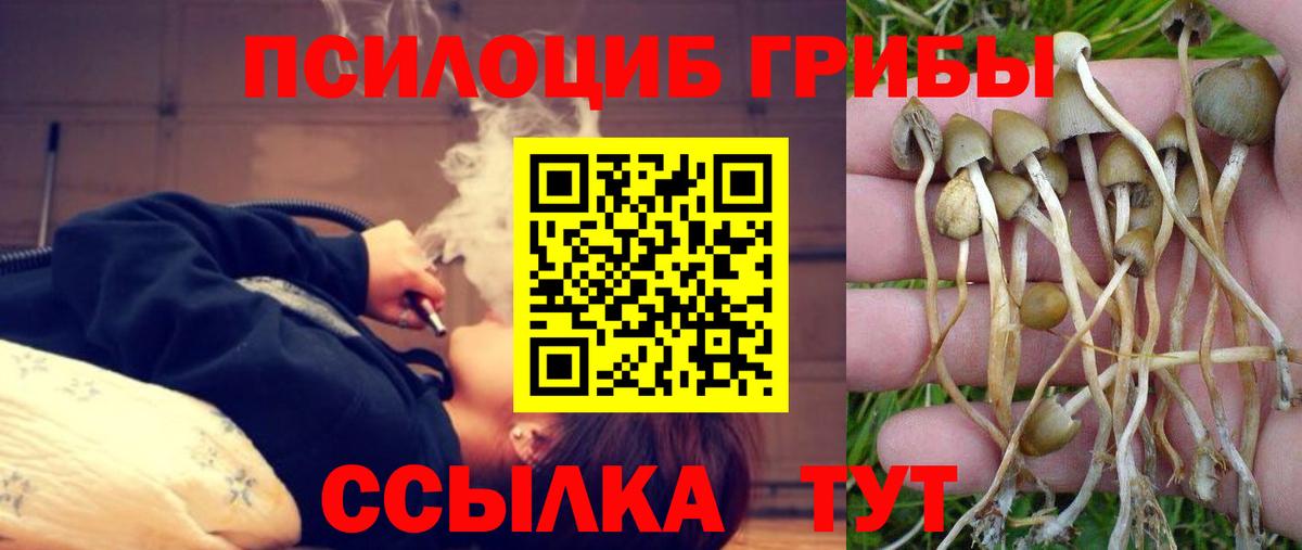 Галлюциногенные грибы Psilocybine cubensis  Псилоцибиновые грибы Psilocybine cubensis  Вход с VPN  Владикавказ 